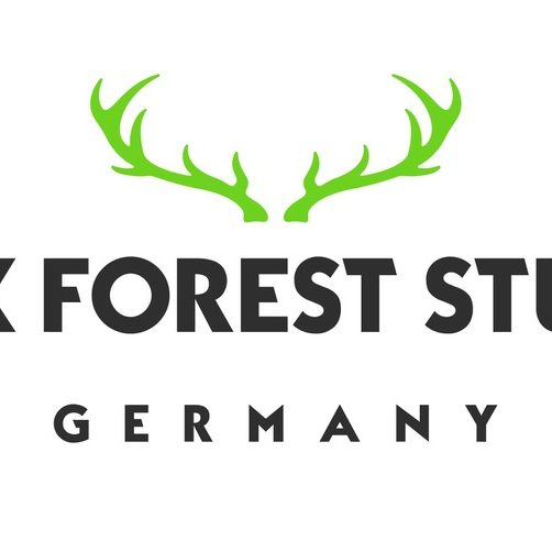 BFS_Logo_Green-Anthracite_RGB